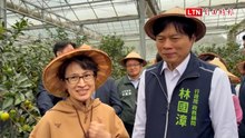 蕭美琴宜蘭採金柑 「再加一把勁」力薦林國漳