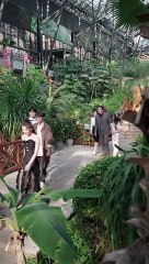 OUT OF THE SHADOWS- Drama FULL MOVIES ENGLISH SUB