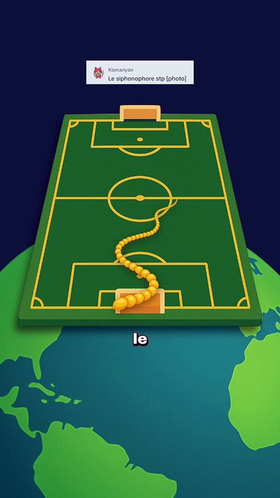 Un monstre marin de 45 m ! #monstre #meduse #animaux #nature #humour