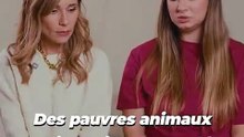 Nouvelle vidéo de PETA - 3 influenceuses réagissent aux dessous cruels de la laine