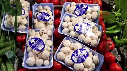 İstanbul'da ''Ölüm meleği'' tehlikesi: Bir ayda 60 kişi hastanelik oldu!