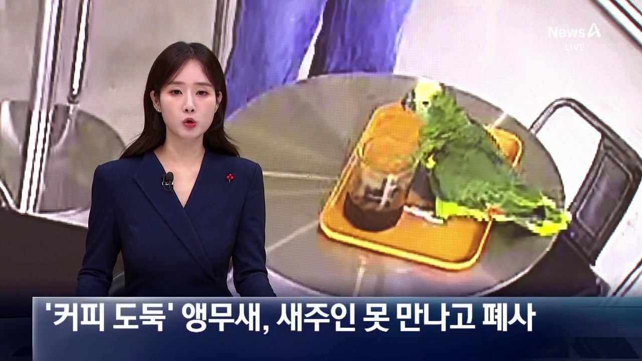 주인 기다리다가…‘커피 도둑’ 앵무새 폐사