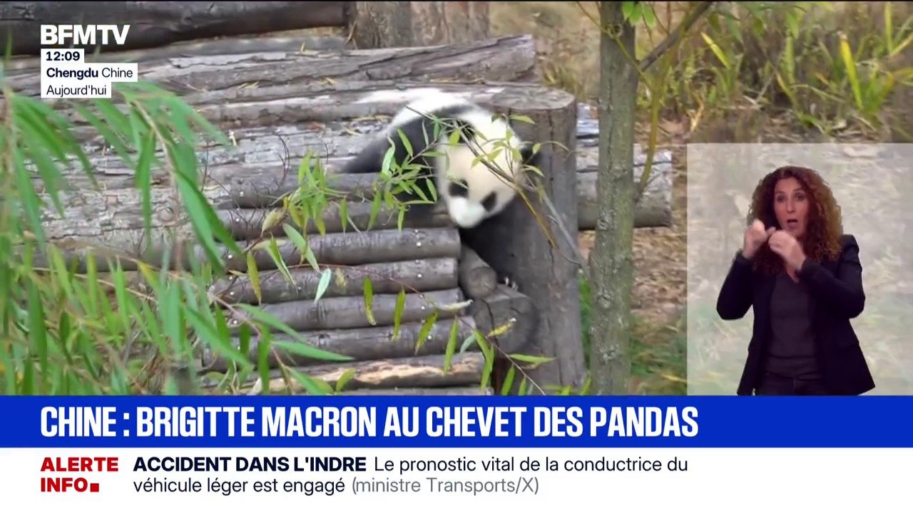 Finistère: ce que l'on sait du survol de drones au-dessus de la base sous-marine de l'Île Longue
