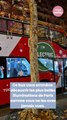 Ce bus vous emmène pendant 1h30 à la découverte des plus belles illuminations de Noël de Paris