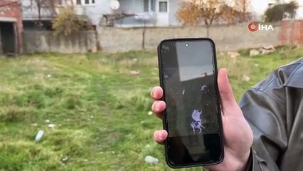 Allah kahretsin! Hepsinin gözleri oyulmuş, karınları deşilmiş, boyunlar kırılmış...