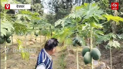 मजदूरी छोड़ शुरू की खेती और फिर कर दिया कमाल, कामदेव ने जज़्बे से कायम की मिसाल