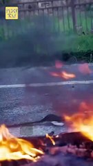 DEAR EX KISS MY CROWN