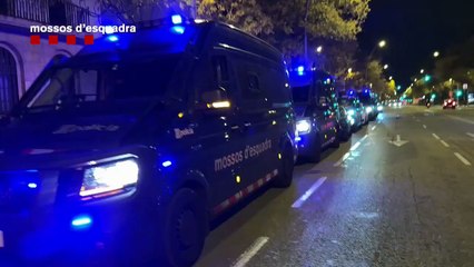 Siete narcotraficantes detenidos y requisan 1.200 plantas de marihuana y 60 kg de éxtasis