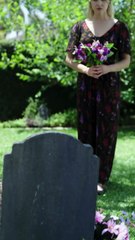 The One I Never Forget USA - ReelShort