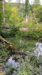 CA GRIMPE, CA GRIMPE jusqu'aux cascades