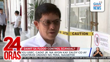 DOJ Usec. Cadiz Jr. na ayon kay Zaldy Co ay hinatiran umano ng pera, nagbitiw | 24 Oras