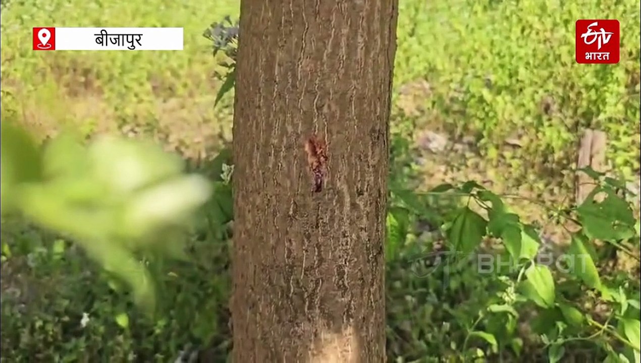 हकवा पहाड़ी पर भीषण मुठभेड़ की कहानी, खाली कारतूस और गोलियों के निशान दे रहे गवाही