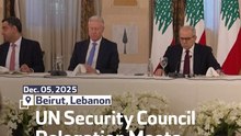 UN Security Council Delegation Meets With Lebanese PM