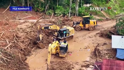 KejagungSelidiki Dugaan Tindak Pidana Pembalakan Liar di 3 Provinsi, Sumut, Aceh hingga Sumbar