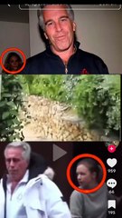 usa unitedstates epstein epsteinisland epsteinfiles