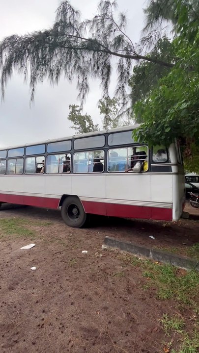 DECOUVERTE des belles plages avec palmiers