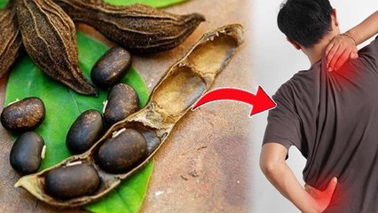 Velvet Beans Benefits In Hindi : कौंच बीज क्या होता है | kaunch Beej Ke Fayde Aur Nuksan | Boldsky..