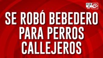 Reapareció el rastrero del barrio... ¡y se robó un bebedero para perros callejeros!