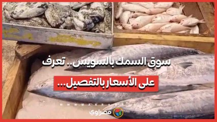 سوق السمك بالسويس.. تعرف على الأسعار بالتفصيل...