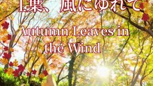 Hommage à l’Automne | Tribute to Autumn | 秋、光と風の中で × 着物の季節