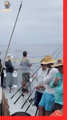 Owl Tired rest on man head