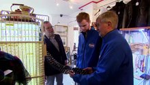 Bargain Hunt Season 73 Episode 2