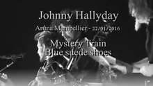 2016 - Johnny Hallyday - Mystery Train & Blue Suede Shoes (Aréna de Montpellier – 22 Janvier)