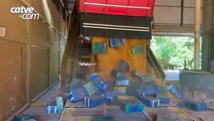 Mais de 2,5 toneladas de maconha são encontradas em meio a carga de milho na BR-163