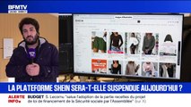 Le tribunal judiciaire de Paris étudie en ce moment la demande de suspension de Shein en France par le gouvernement