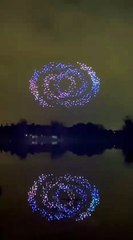 Fête des Lumières 2025 à Lyon : le show de drones du parc de la Tête d'Or