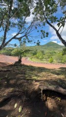 MAGNIFIQUE PANORAMIQUE rempli de couleurs