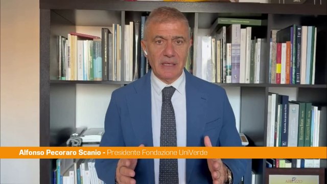 Ponte sullo Stretto, Pecoraro Scanio Basta sprechi, Governo ritiri il progetto