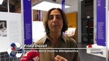 Mostre: curatrice Doveil, ‘Oltreplastica suggerisce nuovo modo per intendere il materiale’