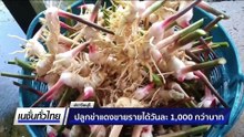 รีไซเคิลฝาพัดลมเก่า สานลวดลายเพิ่มมูลค่า | เนชั่นทั่วไทย | 5 ธ.ค. 68 | PART 2