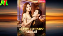 El Amor Destinado para Mí En Español