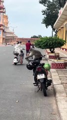 Nói xe bị khỉ tháo kính rồi mà chú CA kêu kiếm lí do nào đáng tin hơn được hông