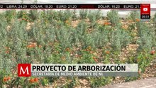 Secretaría de Medio Ambiente de NL pone en marcha nuevo proyecto de arborización