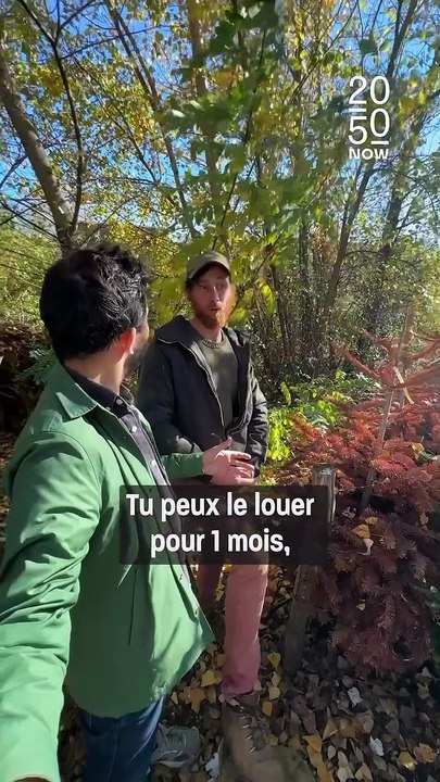 La SPA des végétaux 🌱