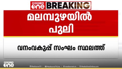 പാലക്കാട്‌ മലമ്പുഴയിൽ നവോദയ സ്കൂളിന് സമീപം പുലിയിറങ്ങി