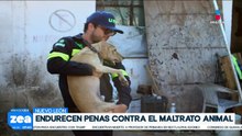 Nuevo león endurece las penas contra el maltrato animal