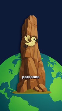 Un bébé saute de 120m pour survivre ! #bebe #oiseau #nature #animaux #drole