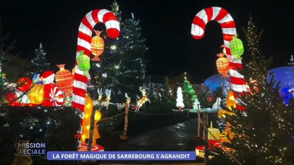Emission spéciale marché de Noël de Sarrebourg du vendredi 05 décembre 2025