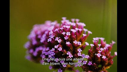 Bugonia: Teaser HD VO st FR/NL