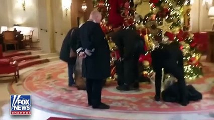 "Taxer les riches à Londres" : Un manifestant est entré dans le hall de l'hôtel Ritz avec une valise… pleine de fumier et il a déversé le contenu au pied du sapin de Noël