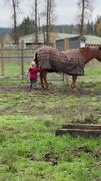 Kid Adorably Tries to Nudge Horse Into Playing in Mud