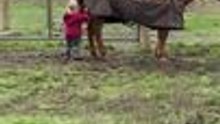 Kid Adorably Tries to Nudge Horse Into Playing in Mud