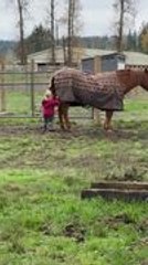 Kid Adorably Tries to Nudge Horse Into Playing in Mud