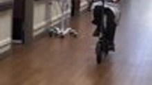 Doctor Loses Balance and Falls While Cycling Through Hospital Hallway