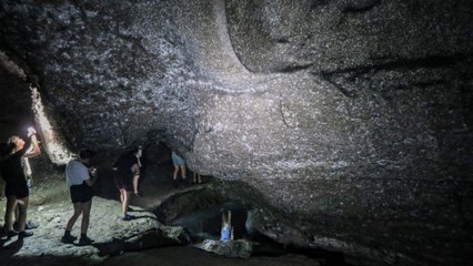 Hallan una megacolonia de 111.000 arañas en una red gigante bajo tierra
