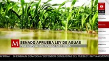 Anaya defiende a panistas con concesiones en pleno debate de la Ley de Aguas